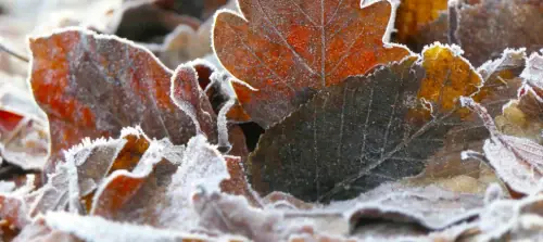Sweater Weather Brings Sweeter Forecast
