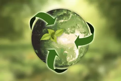 Most CEOs See Sustainability Growth Opportunity